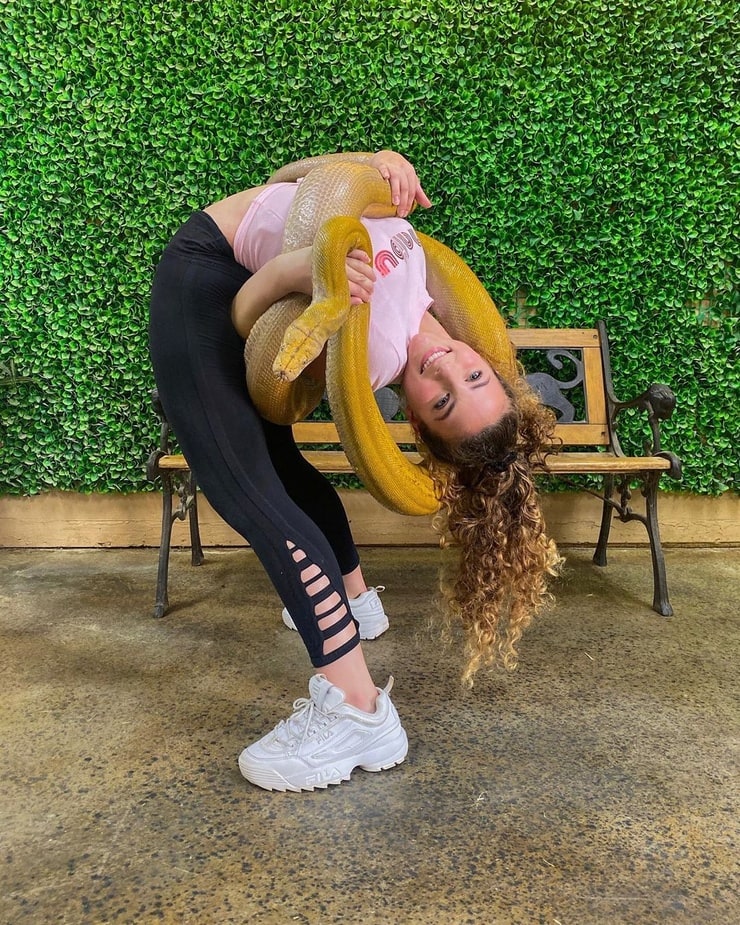 does sofie dossi have a spine
