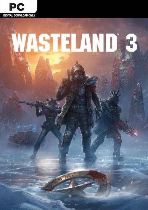 Wasteland 3