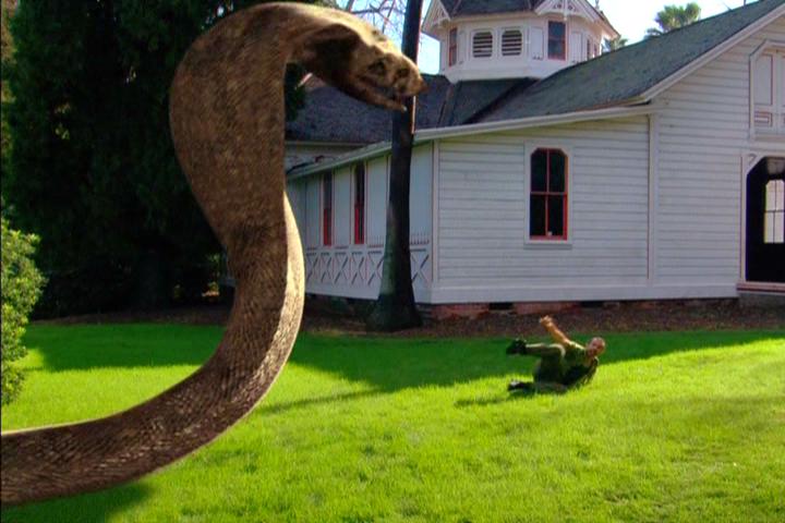 Komodo vs. Cobra