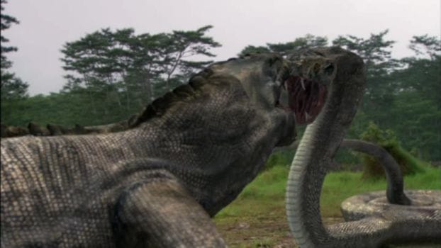 Komodo vs. Cobra (2005) picture