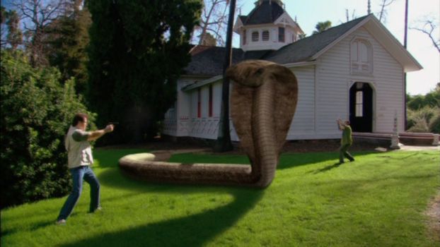Komodo vs. Cobra