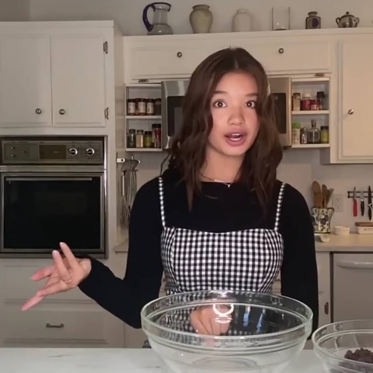 Peyton Elizabeth Lee