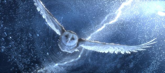 Legend of the Guardians: The Owls of Ga'Hoole