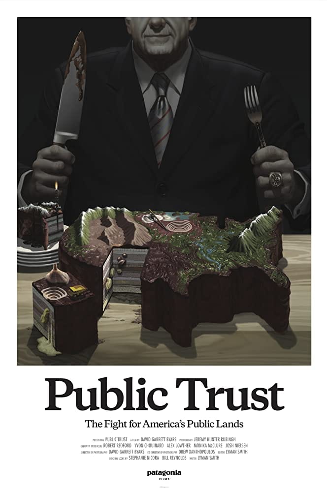 Public Trust