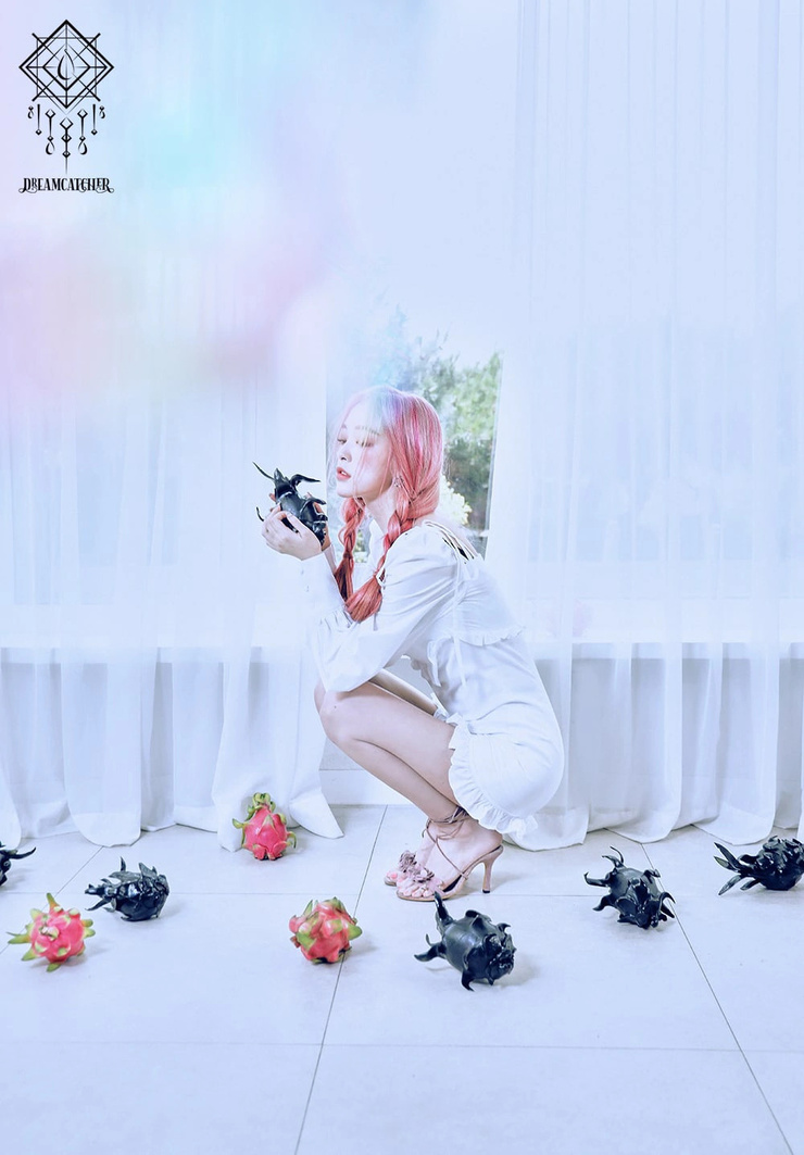 Dreamcatcher Dreamcatcher