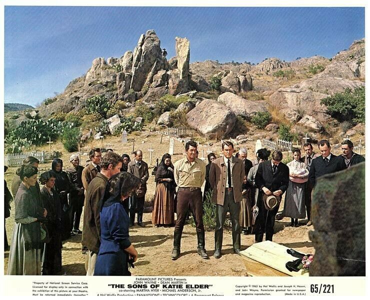 The Sons of Katie Elder