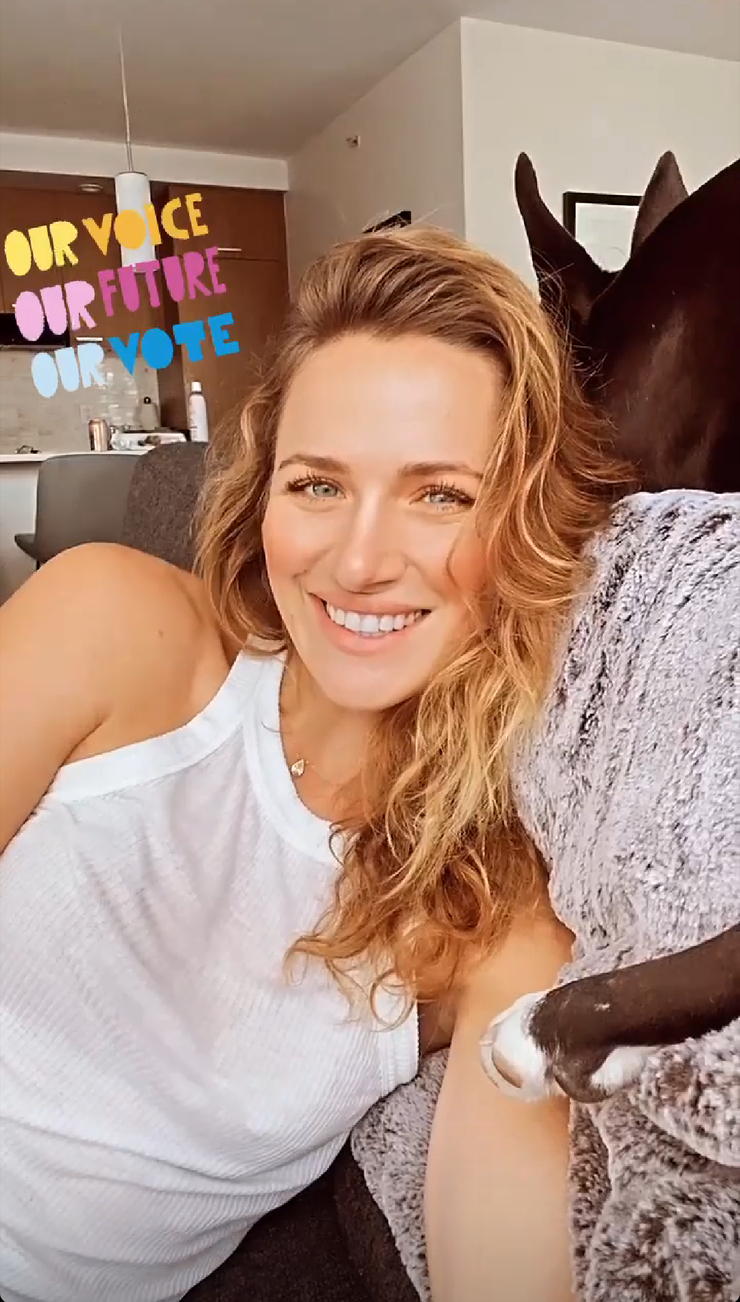 Shantel VanSanten
