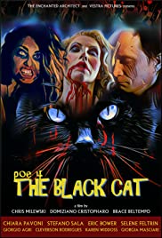 POE 4: The Black Cat