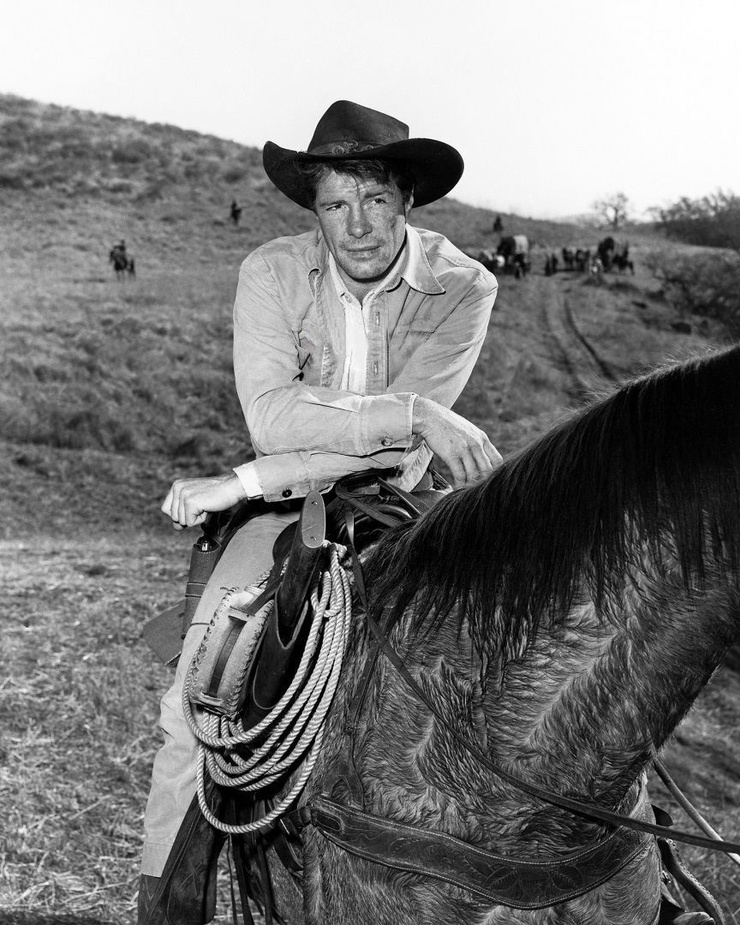 Robert Horton
