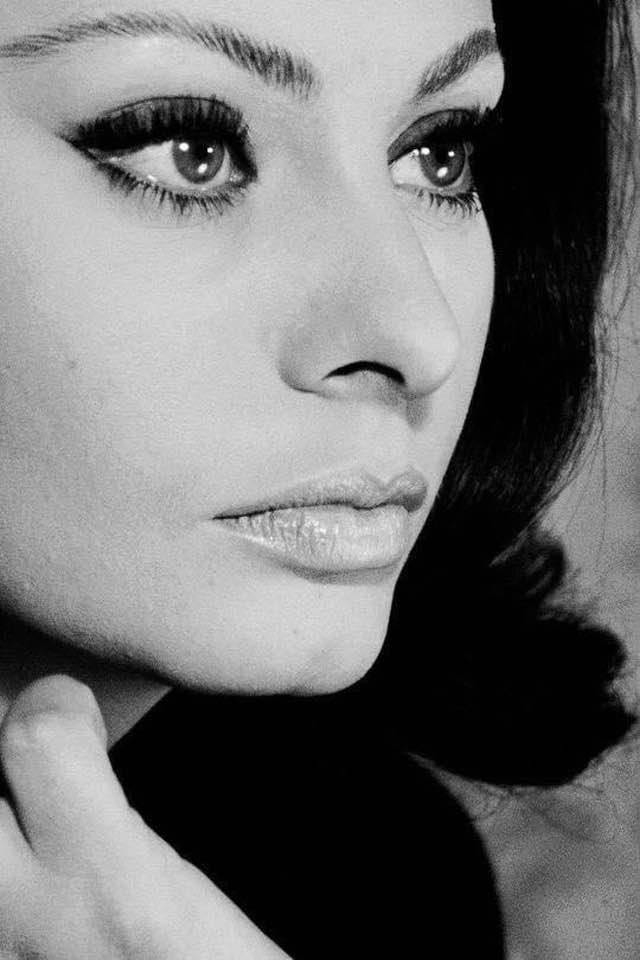 Sophia Loren Sophia Loren
