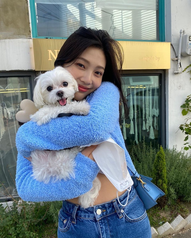 Joy (Park Soo Young)