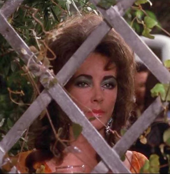 Elizabeth Taylor