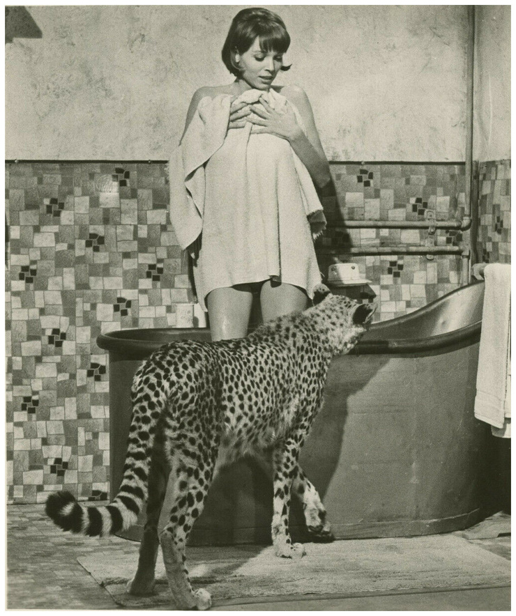 Elsa Martinelli Elsa Martinelli