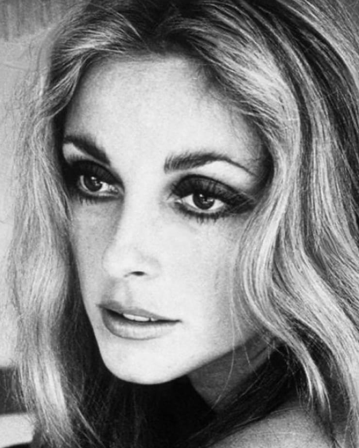 Picture of Sharon Tate