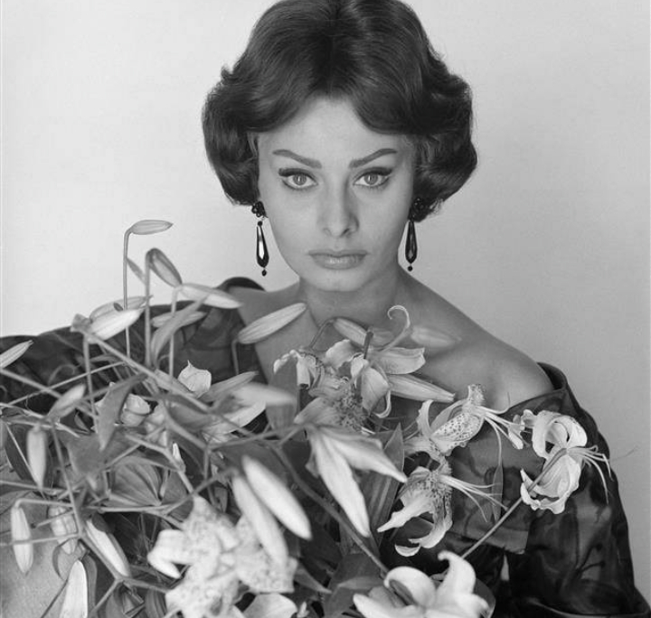 Sophia Loren