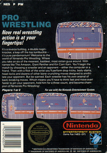 Pro Wrestling