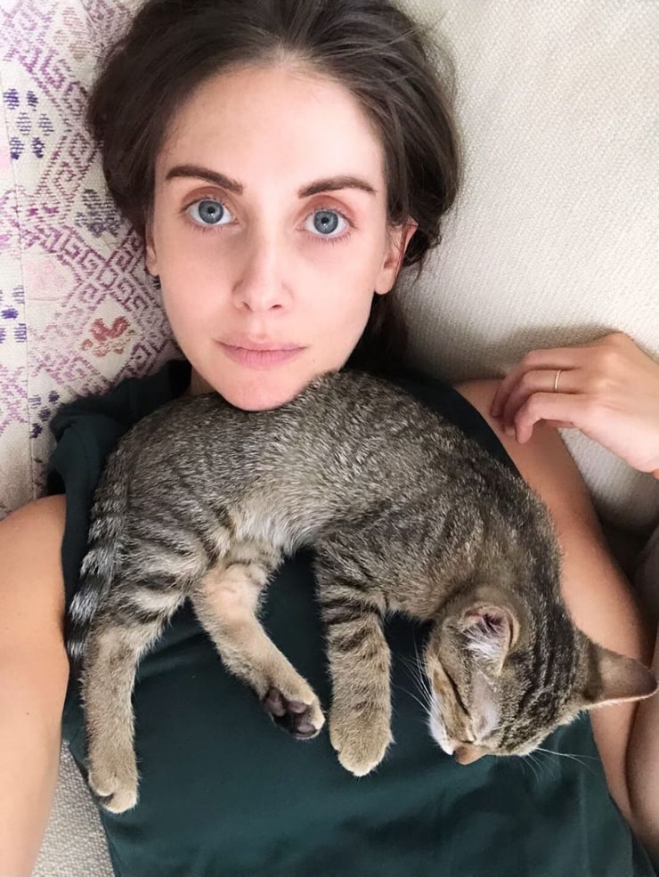 Alison Brie