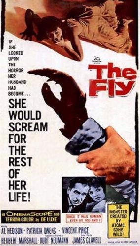 The Fly The Fly
