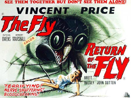 The Fly
