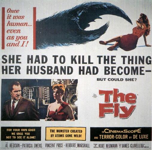 The Fly