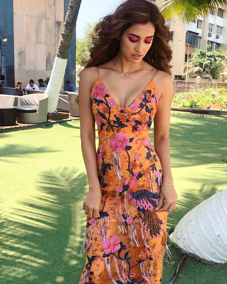 Disha Patani Disha Patani