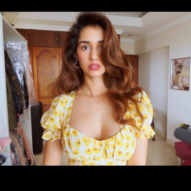 Disha Patani Disha Patani