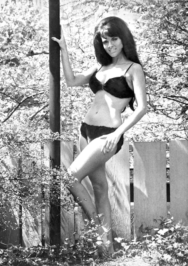 Sharon Harvey Sharon Harvey