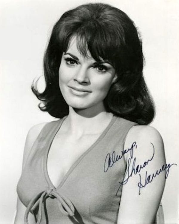 Sharon Harvey Sharon Harvey