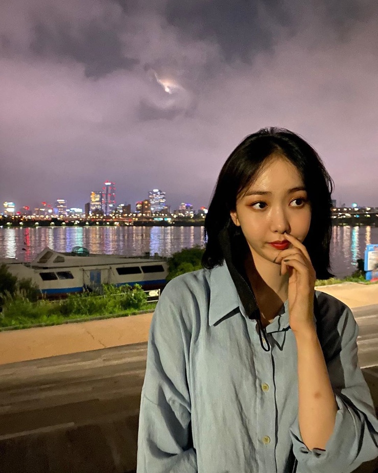 Image of SinB