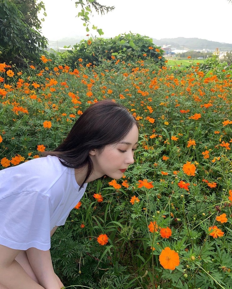 SinB