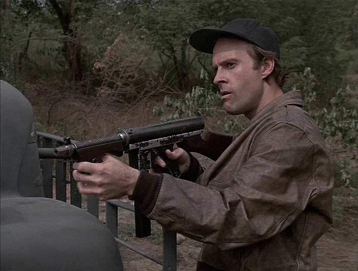 Dwight Schultz