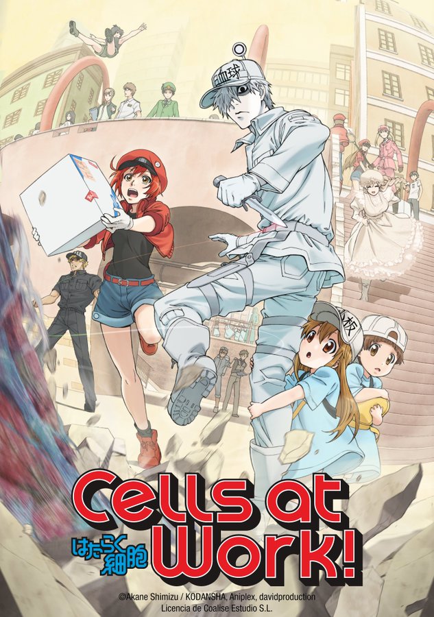 Cells at Work!