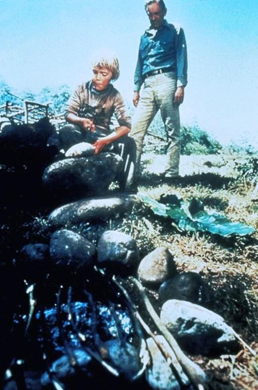 The Earthling (1980) The Earthling (1980)