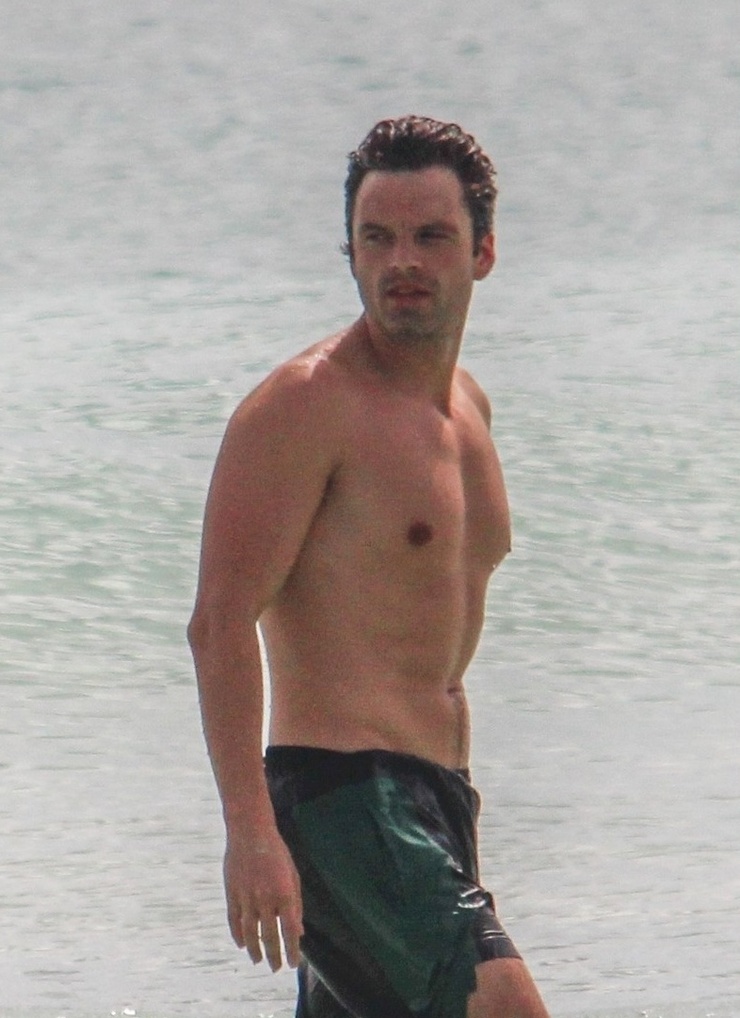 Sebastian Stan