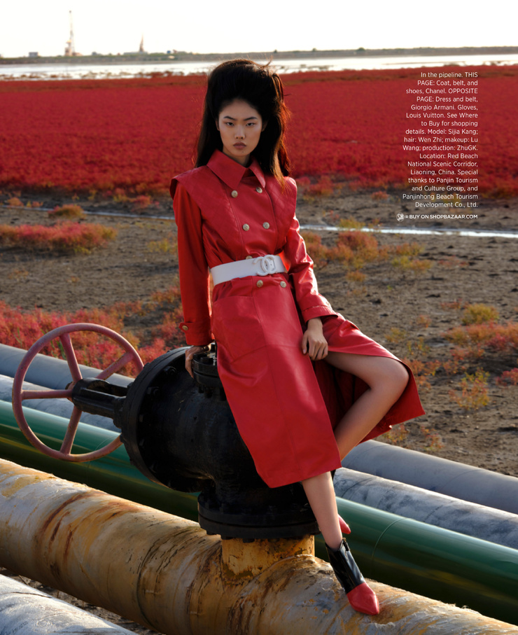 Sijia Kang