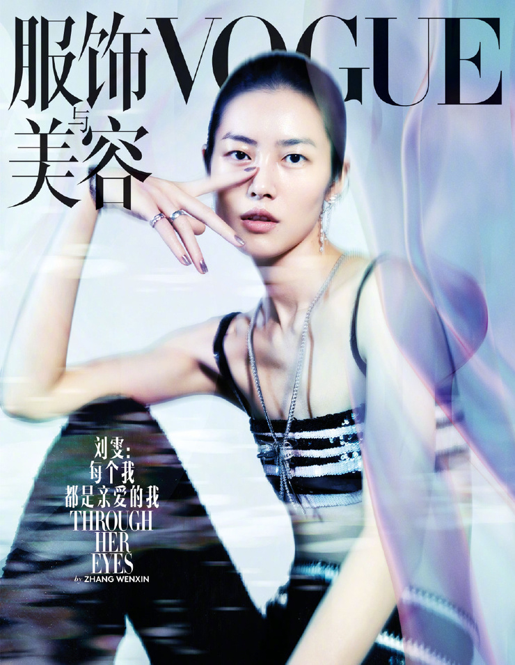 Liu Wen