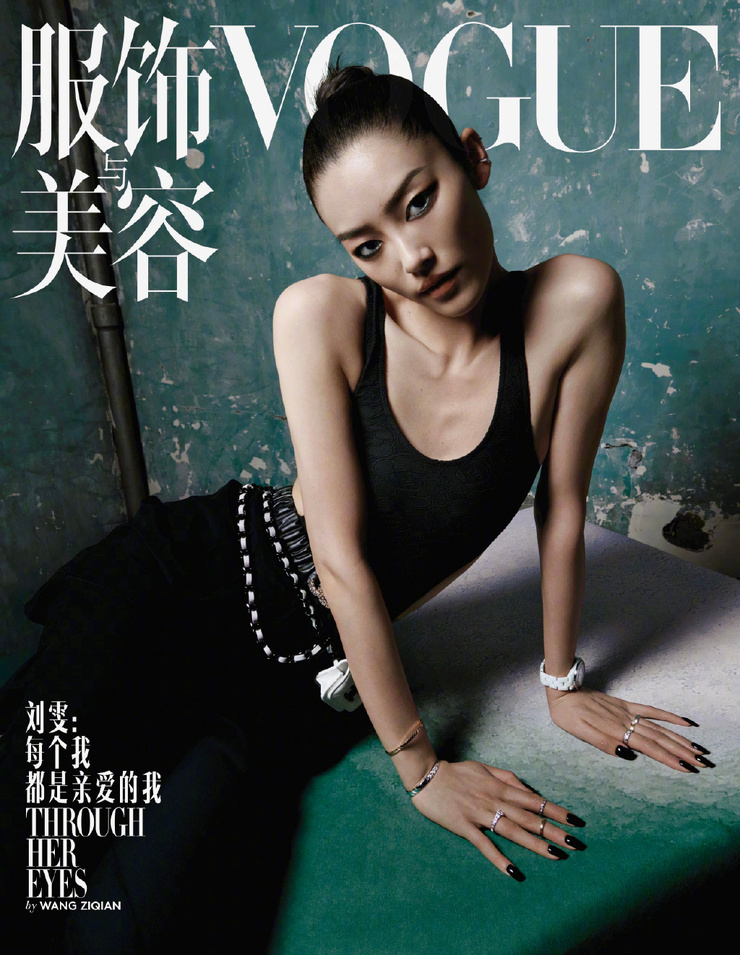 Liu Wen