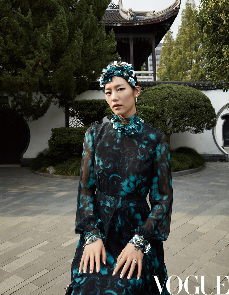 Liu Wen