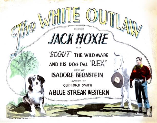 The White Outlaw The White Outlaw