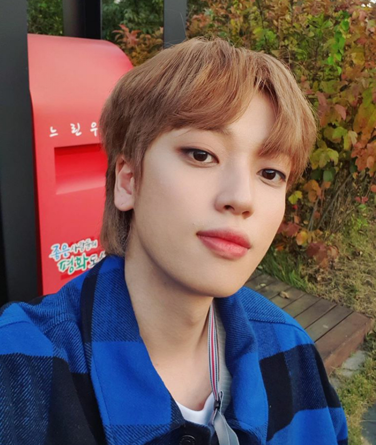 Niel