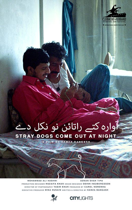 Stray Dogs Come Out at Night