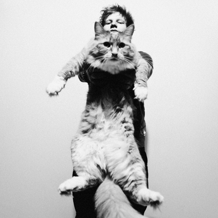 Ed Sheeran Ed Sheeran