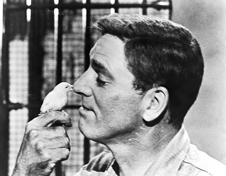 Birdman of Alcatraz Birdman of Alcatraz