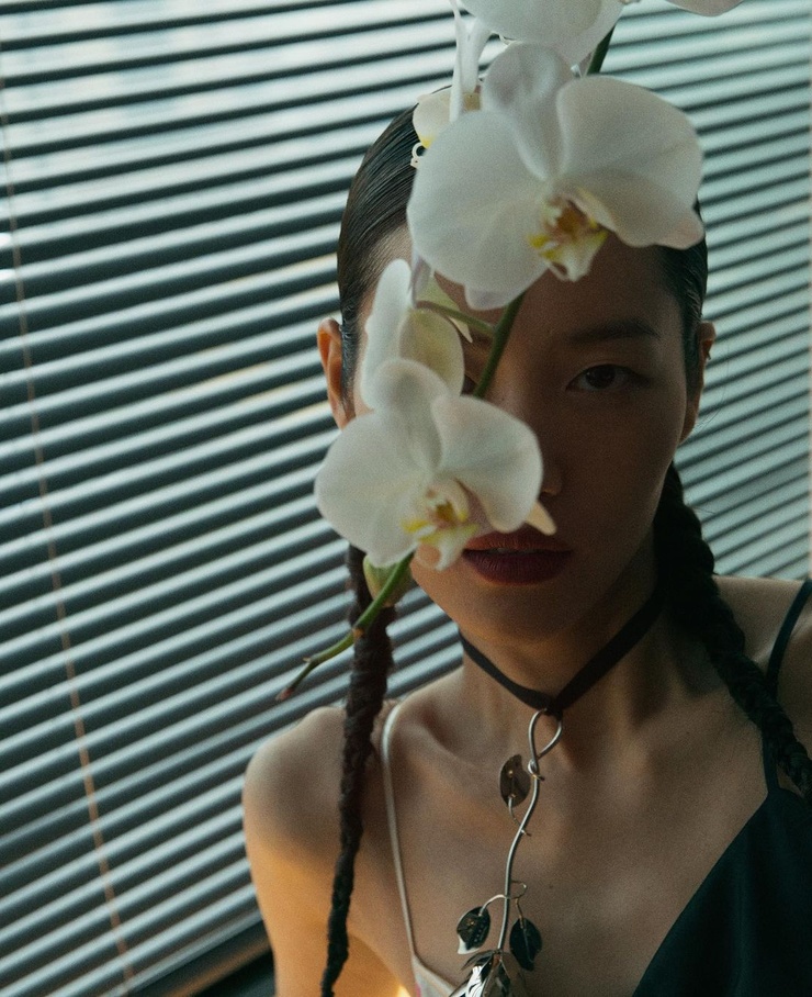 Liu Wen