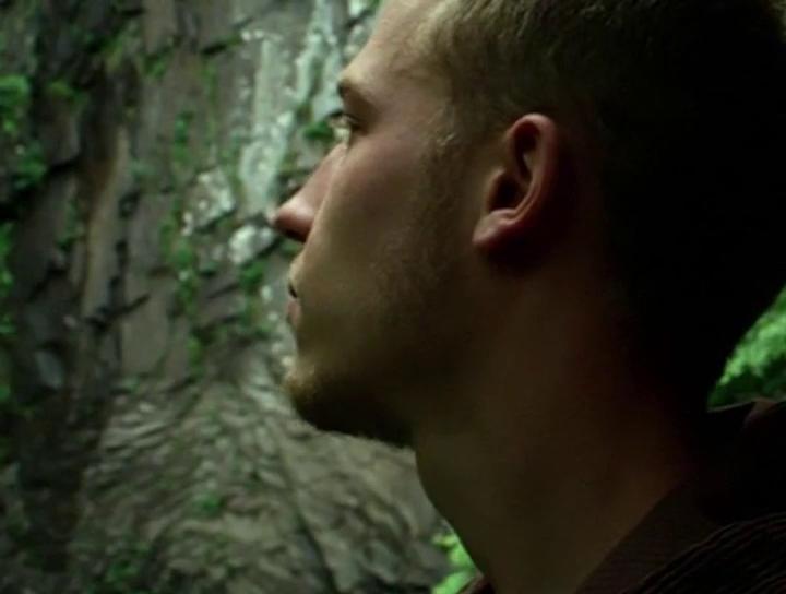 In the Woods