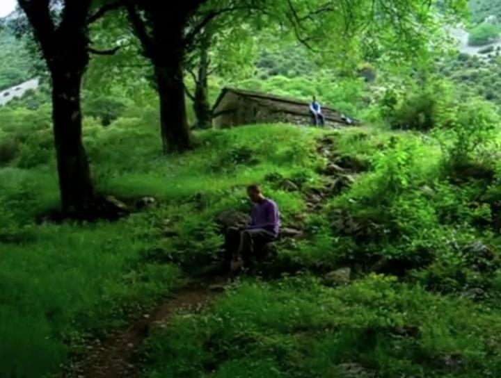 In the Woods