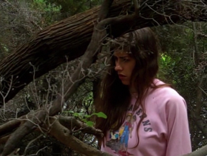 In the Woods
