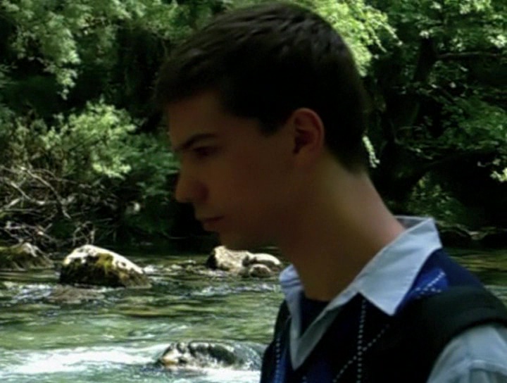 In the Woods