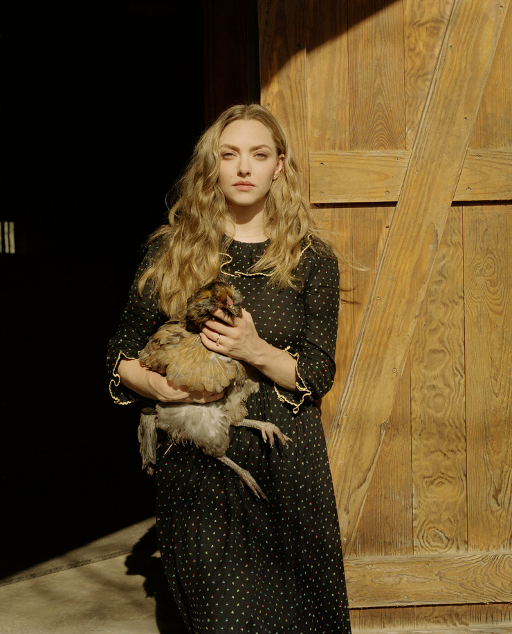Amanda Seyfried Amanda Seyfried