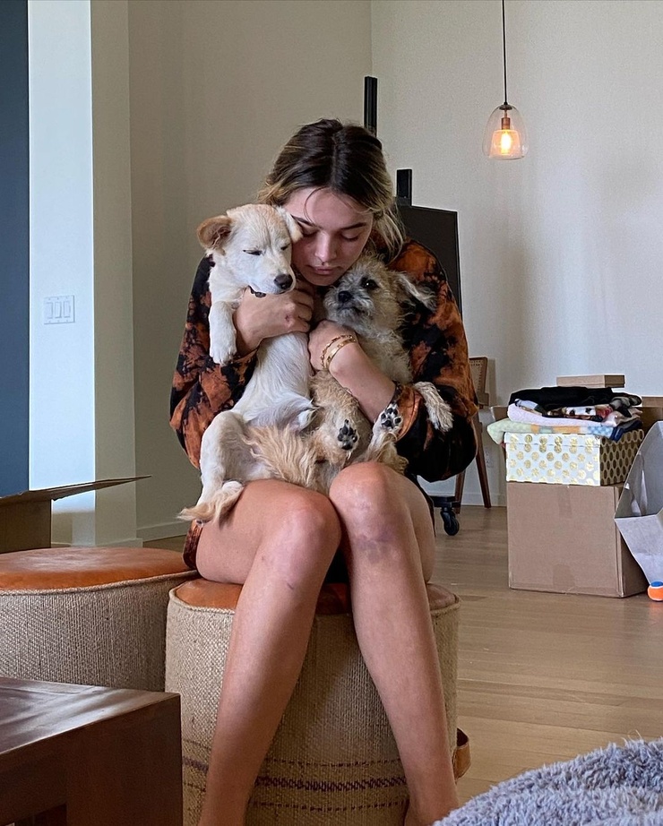 Charlotte Lawrence